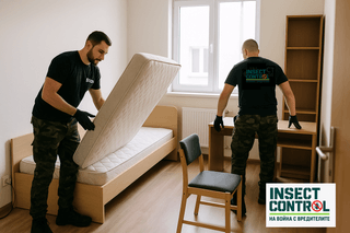 Инспекция за дървеници от екип на Инсект Контрол